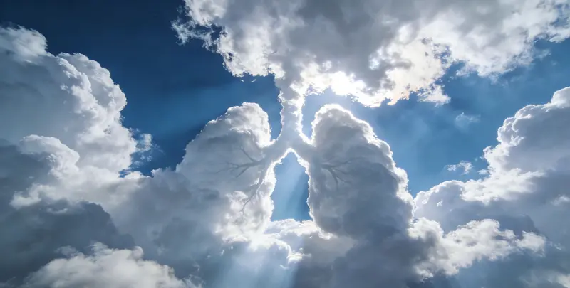 重庆肺癌12基因ctDNA突变检测(血液）图片1