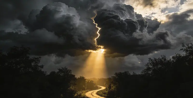 肺癌172基因检测图3