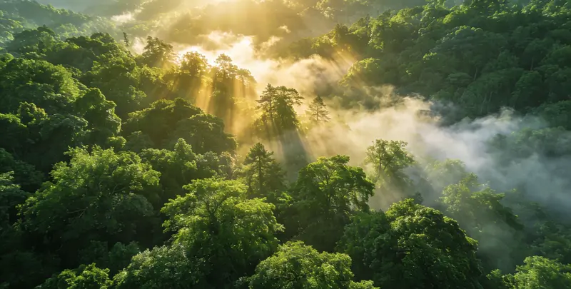 重庆肺癌68基因检测图片1
