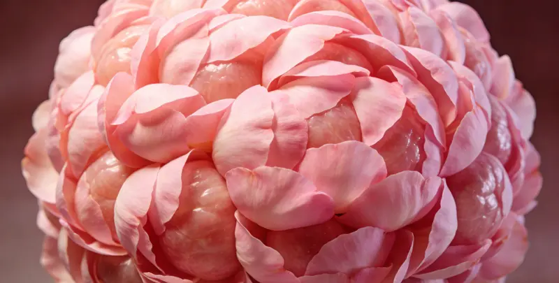 重庆BRCA1/2乳腺癌卵巢癌基因检测图片1