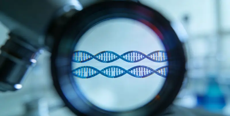 司法亲子鉴定3人图3